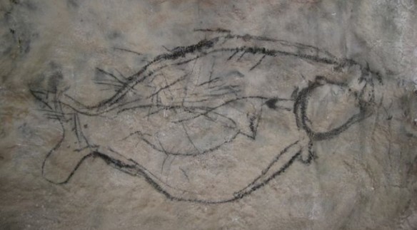 Fish in Cueva Pilete. Note the fish inside the fish.